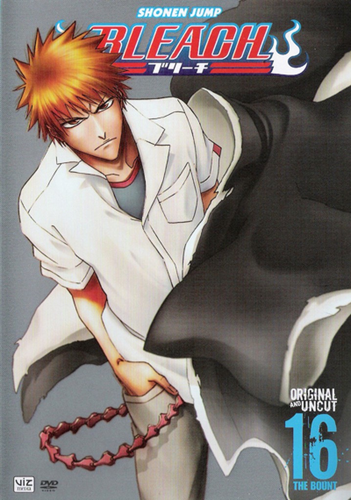 Bleach Season 16 watch full episodes streaming online